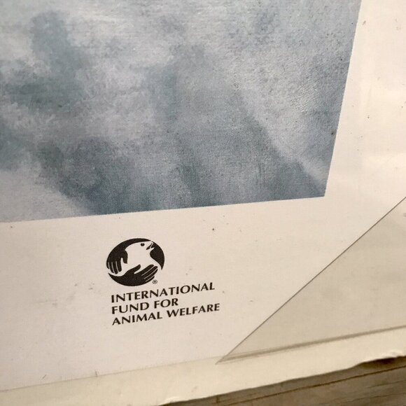 Charles Frace "Peace on Ice" Hand Signed & Numbered Print Autographed Harp Seals - Picture 6 of 11